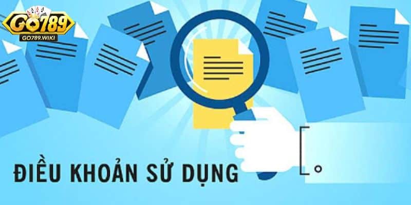 Mục đích sử dụng của chính sách về điều khoản và điều kiện